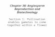 Section 1: Pollination enables gametes to come together within a flower Chapter 38: Angiosperm Reproduction and Biotechnology