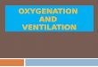 OXYGENATION AND VENTILATION. Oxygenation Oxygen Delivery Devices