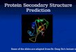Protein Secondary Structure Prediction Some of the slides are adapted from Dr. Dong Xu’s lecture notes