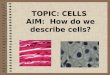 TOPIC: CELLS AIM: How do we describe cells?. How do we know that cells exist? The discovery of the microscope