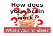 How does your brain work? What’s your mindset?