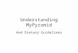 Understanding MyPyramid And Dietary Guidelines Old Food Guide Pyramid