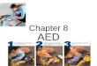 Chapter 8 AED. The Heart A normal heart has electrical impulses that causes the ventricles to contract. This actions allows for the circulation of blood