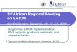 2 nd African Regional Meeting on SAICM Dar Es Salaam, Tanzania, 16 -17 July 2008 Supporting SAICM implementation: Pilot projects, guidance materials, and