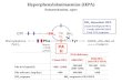 Phe Tyr PAH BH 4 BH 2 GTP BH 4 -dependent HPA (atypical/malignant PKU) Usually mild PKU/HPA Early CNS symptoms Fe O 2 PAH deficiency Classic PKU Mild PKU