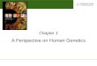 Michael Cummings David Reisman University of South Carolina A Perspective on Human Genetics Chapter 1