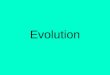 Evolution. IN: P 48 What is evolution to me? OUT: P 48 Create a timeline showing significant events or occurrences starting from 4.6 billion years ago