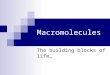 Macromolecules The building blocks of life…. Macromolecules Cells are composed of several types of biological macromolecules. These function as energy-storage