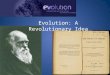 Evolution: A Revolutionary Idea A. What is Evolution? 1. Several definitions a. descent with modification (Darwin) b. change in gene frequencies within