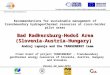 Recommendations for sustainable management of transboundary hydrogeothermal resources at cross-border pilot areas Bad Radkersburg-Hodoš Area (Slovenia-Austria-Hungary)