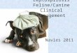 Leptospirosis Feline/Canine Clinical Management Navies 2011