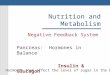 Nutrition and Metabolism Negative Feedback System Pancreas: Hormones in Balance Insulin & Glucagon Hormones that affect the level of sugar in the blood