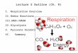Lecture 5 Outline (Ch. 9) I.Respiration Overview II.Redox Reactions III.NAD+/NADH IV.Glycolysis V.Pyruvate Oxidation VI. Summary