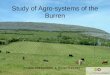 Study of Agro-systems of the Burren Priscille GHESQUIERE & Dorian FLECHET