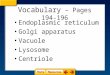 Vocabulary – Pages 194-196 Endoplasmic reticulum Golgi apparatus Vacuole Lysosome Centriole