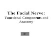 The Facial Nerve: Functional Components and Anatomy