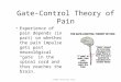 ©1999 Prentice Hall Gate-Control Theory of Pain Experience of pain depends (in part) on whether the pain impulse gets past neurological “gate” in the spinal