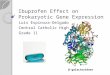 Ibuprofen Effect on Prokaryotic Gene Expression Luis Espinoza-Delgado Central Catholic High School Grade 11 β -galactosidase
