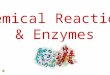 Chemical Reactions & Enzymes Many chemical reactions need a source of energy to occur Activation Energy = the energy needed to get the reaction going