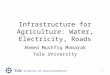 1 Infrastructure for Agriculture: Water, Electricity, Roads Ahmed Mushfiq Mobarak Yale University