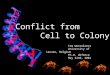 Tom Wenseleers University of Leuven, Belgium Ph.D. defence May 22nd, 2001 Conflict from Cell to Colony