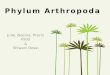 Phylum Arthropoda Julie, Neema, Prachi Patel & Shiwani Desai