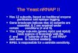 The Yeast nRNAP II Has 12 subunits, based on traditional enzyme purification and epitope tagging. Gene knockouts indicate that 10 subunits are essential,