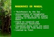 MANGROVES OR MANGAL “Rainforest by the Sea” Associations of halophytic trees, shrubs or other plants growing in brackish to saline water Found on tropical