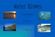 * MarineMarine * FreshwaterFreshwater Estuary. * Includes still water and moving water * Examples of still water* Examples of moving water * lakes and