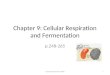Chapter 9: Cellular Respiration and Fermentation p.248-265 1Cellular Respiration 2009