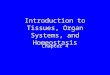 Introduction to Tissues, Organ Systems, and Homeostasis Chapter 4