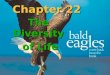 Chapter 22 The Diversity of Life. (V) Kingdom Animalia 9 Major Phyla: Multicellular Ingests food amobb/biology/animals.html