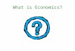 What is Economics?. The fundamental economic problem Scarcity is: the fundamental problem in economics. People and societies have unlimited wants, but