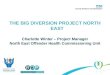 THE BIG DIVERSION PROJECT NORTH EAST Charlotte Winter – Project Manager North East Offender Health Commissioning Unit