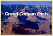 Grand Canyon Facts. Length of the Grand Canyon The Grand Canyon is 277 miles long; 443 kilometers