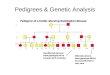 Pedigrees & Genetic Analysis. Learning Objectives By the end of this class you should understand: The purpose of a pedigree How to read and interpret
