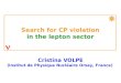 Cristina VOLPE (Institut de Physique Nucléaire Orsay, France) Search for CP violation in the lepton sector
