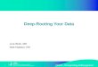 DRAFT – final pending AHRQ approval 1 Deep-Rooting Your Data Liza Wick, MD Deb Hobson, RN