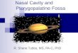 Nasal Cavity and Pterygopalatine Fossa R. Shane Tubbs, MS, PA-C, PhD