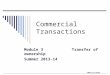 ©MNoonan2009 Commercial Transactions Module 3 Transfer of ownership Summer 2013-14
