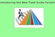 Introducing the New Food Guide Pyramid Introducing the New Food Guide Pyramid