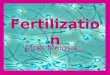 Fertilization After Meiosis. Gonads Reproductive organs â€“Males have testes â€“Females have ovaries Gametes Reproductive cells â€“Males have sperm â€“Females