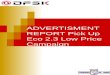 ADVERTISMENT REPORT Pick Up Eco 2.3 Low Price Campaign
