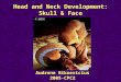Head and Neck Development: Skull & Face Audrone Biknevicius 2005-CPC2