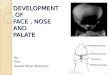 DEVELOPMENT OF FACE, NOSE AND PALATE By Prof. Saeed Abuel Makarem 1Prof. Makarem