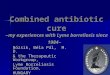 Combined antibiotic cure –my experiences with Lyme borreliosis since 1984– Bózsik, Béla Pál, M. D. & the Therapeutic Workgroup, Lyme Borreliosis Foundation,