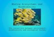 Marine Ecosystems and Biodiversity The connection between environment, biodiversity and ecological niches