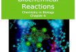 Biochemical Reactions Chemistry in Biology Chapter 6