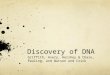 Discovery of DNA Griffith, Avery, Hershey & Chase, Pauling, and Watson and Crick