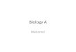 Biology A Welcome!. Attendance/Tardies Attendance at the start of class Be inside the room before passing time ends – even 1 second after that time and